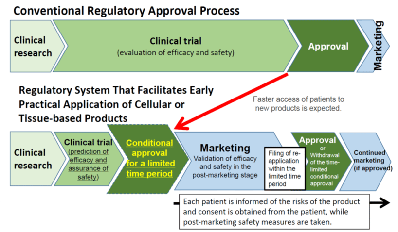 Regulatory_Approval_Process.png